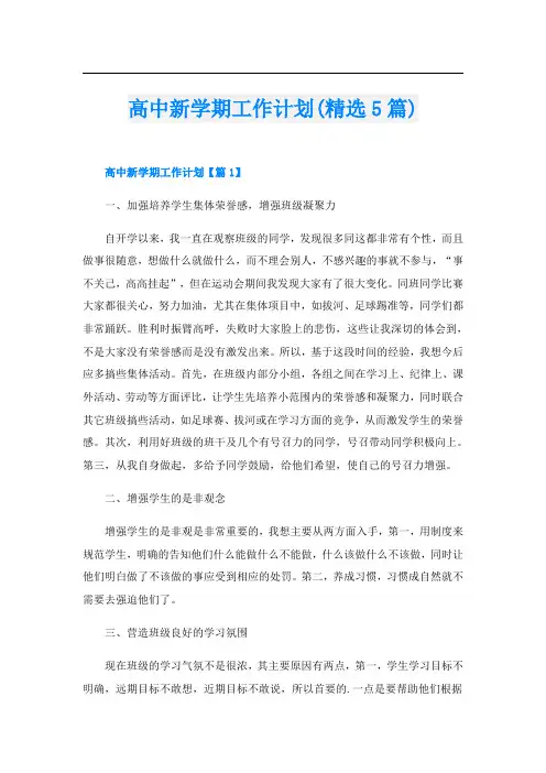 高中新学期工作计划(精选5篇)