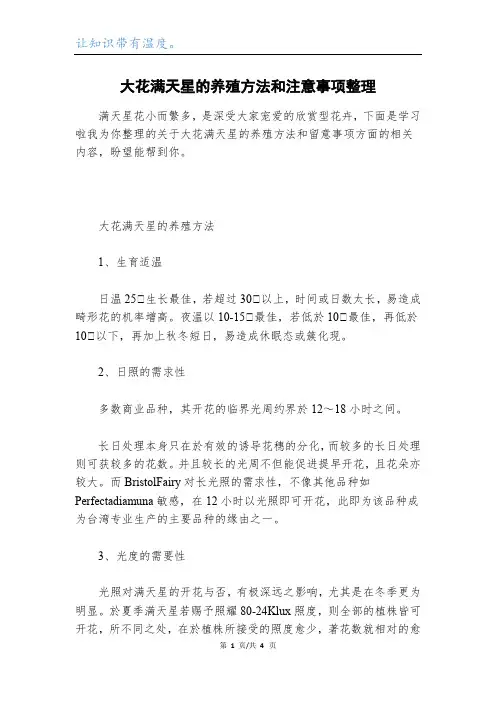 大花满天星的养殖方法和注意事项整理