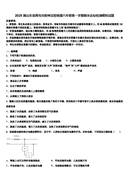 2025届山东省青岛市胶州实验物理八年级第一学期期末达标检测模拟试题含解析