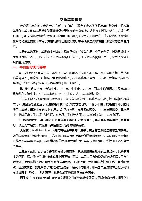 沙发皮质的等级理论