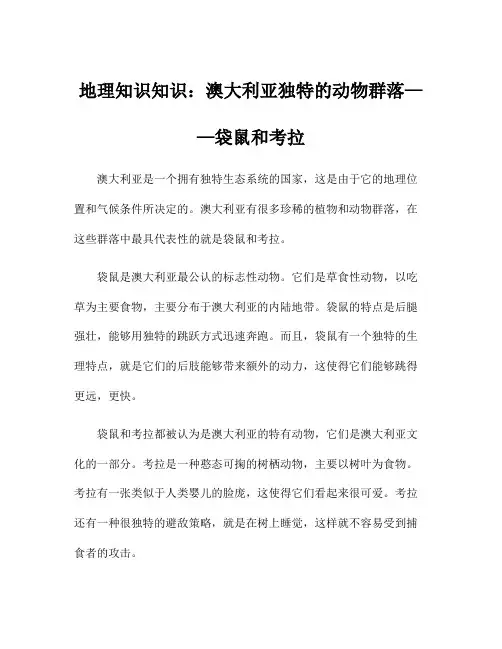 地理知识知识：澳大利亚独特的动物群落——袋鼠和考拉