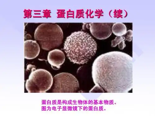 第三章 蛋白质化学3-蛋白质的三维结构_2010