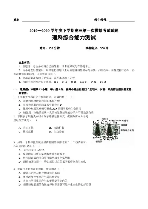 辽宁省辽南协作校2019-2020学年度下学期高三第一次模拟考试理科综合试卷