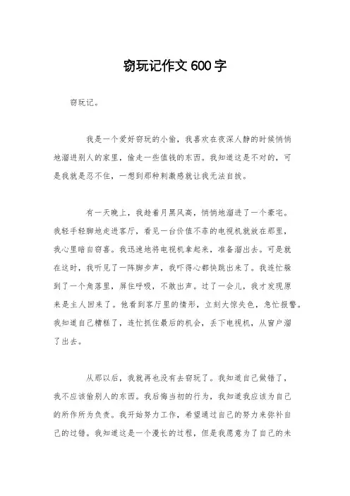 窃玩记作文600字