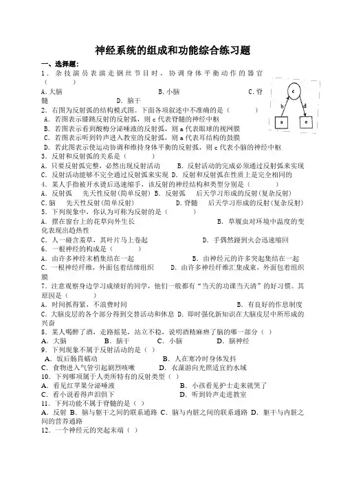 神经系统的组成和功能综合练习题(2)
