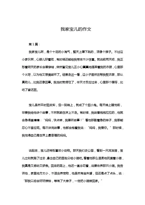 我家宝儿的作文