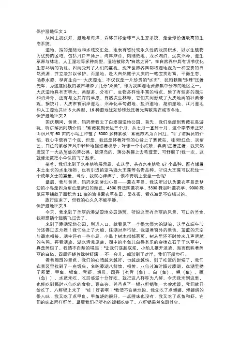 保护湿地征文