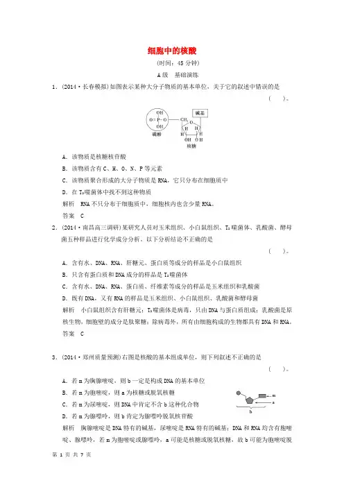 高三生物一轮总复习教材回扣检测：细胞中的核酸