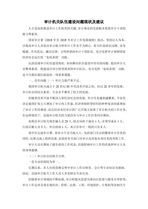 最新-审计机关队伍建设问题现状及建议 精品