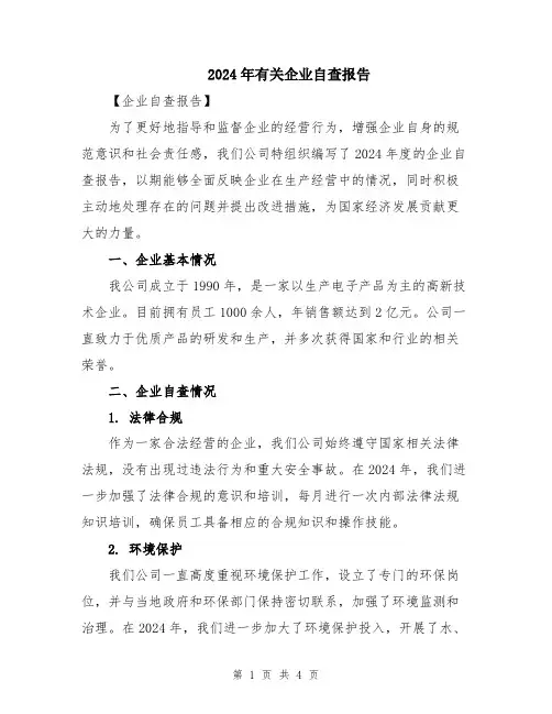 2024年有关企业自查报告