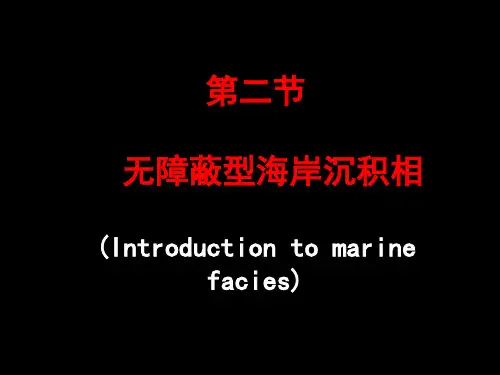 (完整版)无障壁海岸沉积相