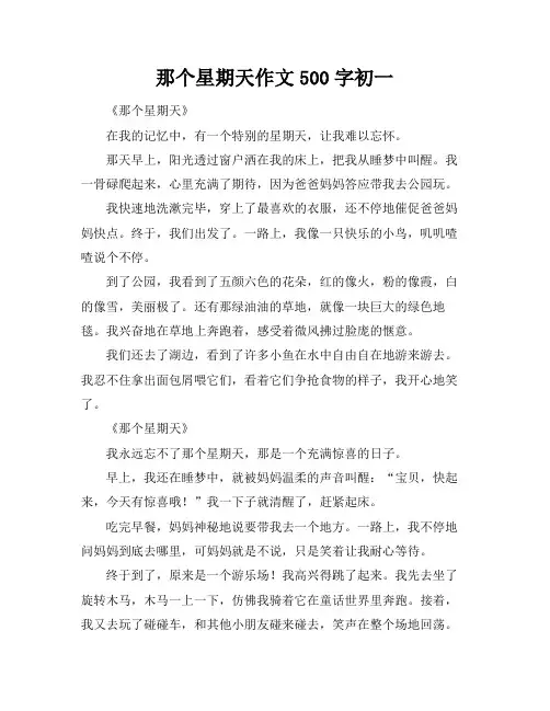 那个星期天作文500字初一