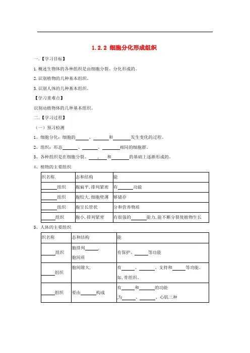七年级生物上册 1.2.2 细胞分化形成组织导学案 (新版)