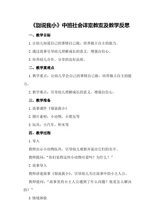 中班社会详案教案及教学反思《别说我小》