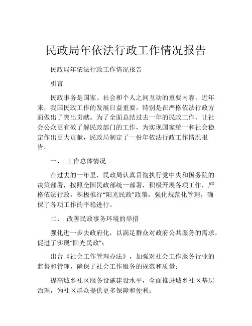 民政局年依法行政工作情况报告