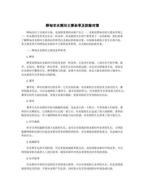 桦甸市水稻田主要杂草及防除对策