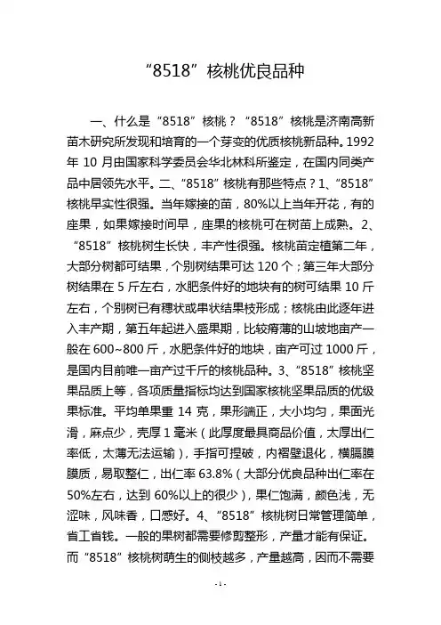 “8518”核桃优良品种