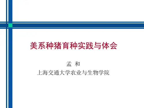 美系种猪育种实践与体会