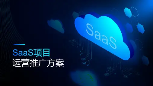 SaaS项目运营推广方案PPT