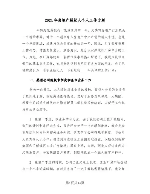 2024年房地产经纪人个人工作计划（6篇）