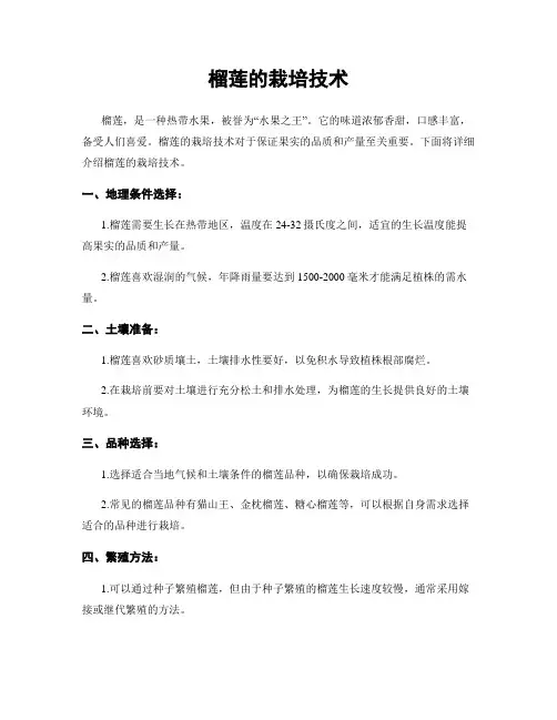 榴莲的栽培技术