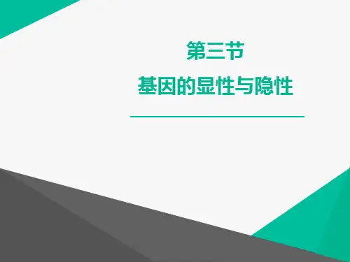 《基因的显性和隐性》PPT教学课件