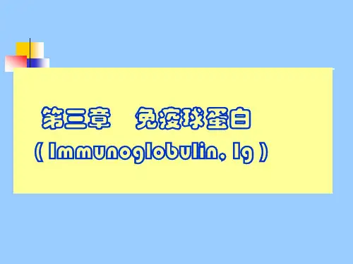 第三章 免疫球蛋白