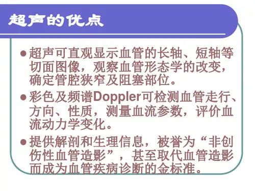 血管超声_【PPT课件】