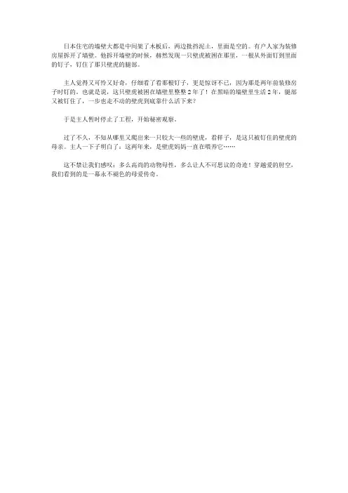 (青少年心灵成长直通车)启迪孩子智慧的动物故事_执著的壁虎妈妈