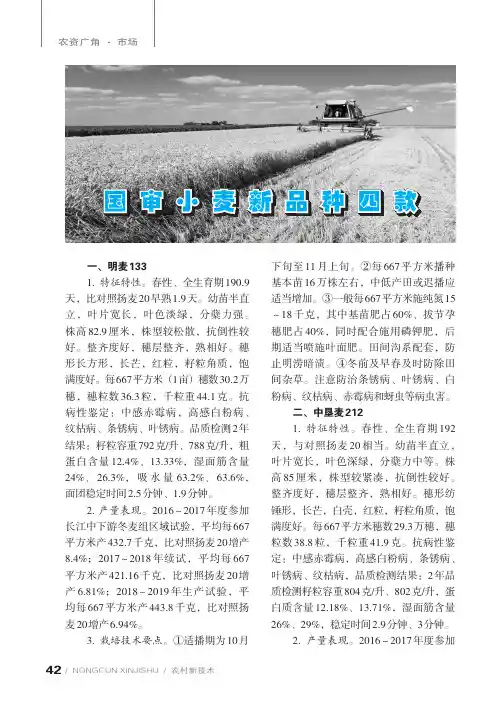 国审小麦新品种四款