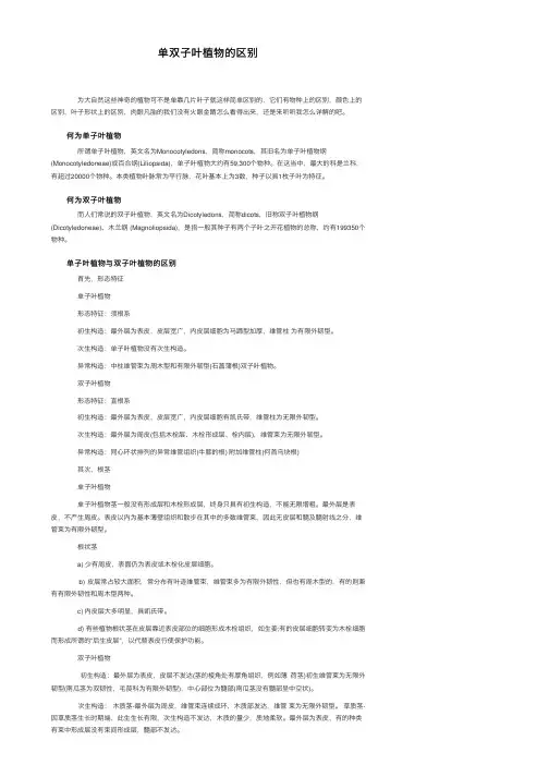 单双子叶植物的区别