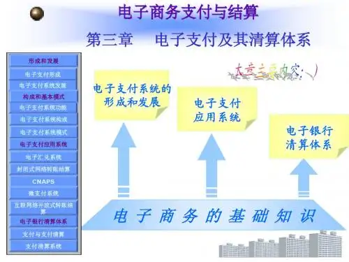 第三章电子支付及其清算体系