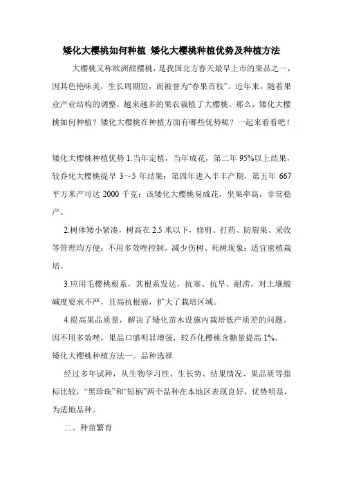 矮化大樱桃如何种植 矮化大樱桃种植优势及种植方法.doc