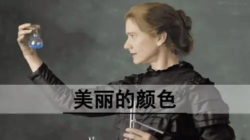 部编版语文八年级上学期《美丽的颜色》PPT课件