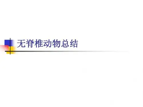 无脊椎动物总结