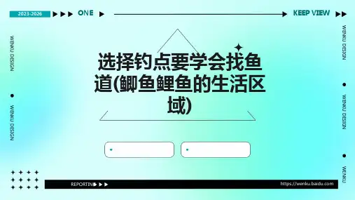 选择钓点要学会找鱼道(鲫鱼鲤鱼的生活区域)