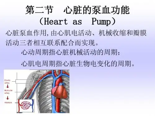 第二节  心脏的泵血功能