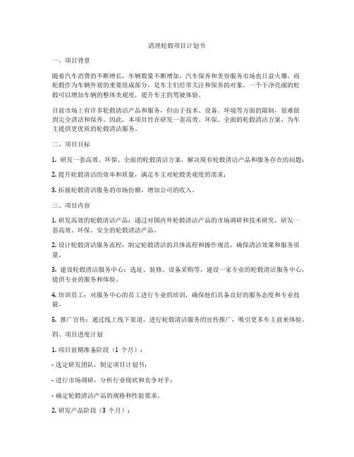 清理轮毂项目计划书