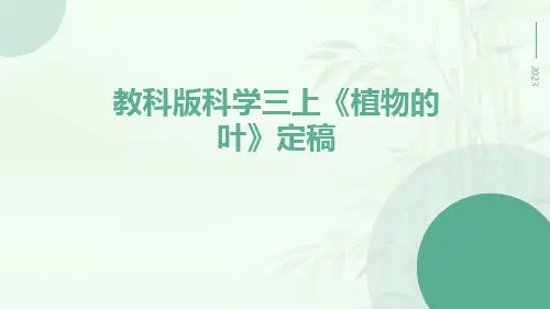 教科版科学三上《植物的叶》定稿