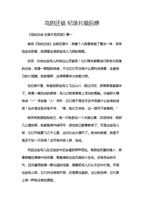 鸟的迁徙 纪录片观后感