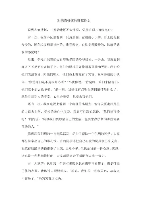 对悲悯情怀的理解作文
