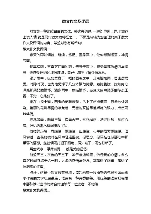 散文作文及评语