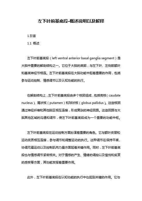 左下叶前基底段-概述说明以及解释