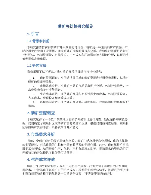 磷矿可行性研究报告