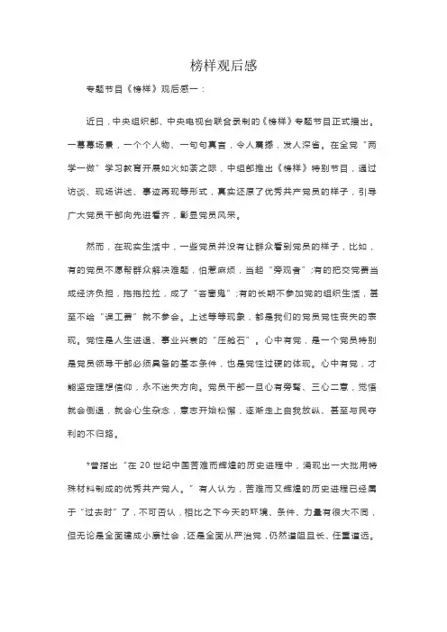 榜样观后感