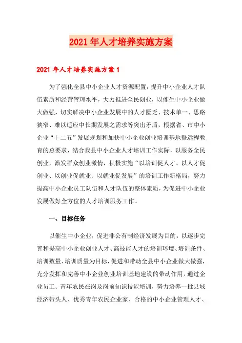 2021年人才培养实施方案