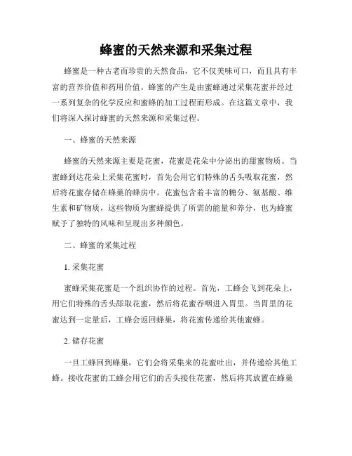 蜂蜜的天然来源和采集过程