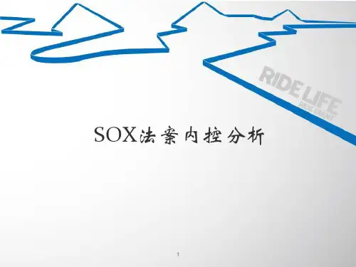 SOX法案内控分析PPT课件