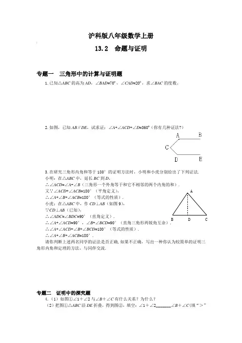 沪科版八年级数学上册 13.2命题与证明专题训练(含答案)