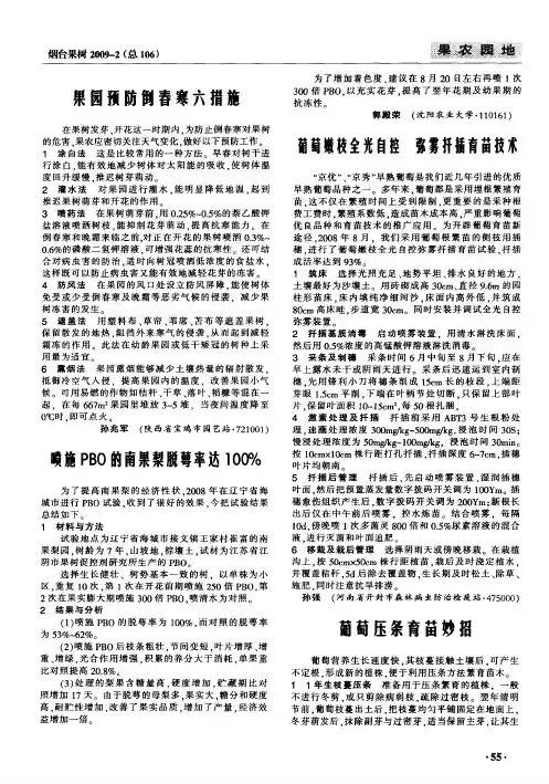 葡萄嫩枝全光自控 弥雾扦插育苗技术